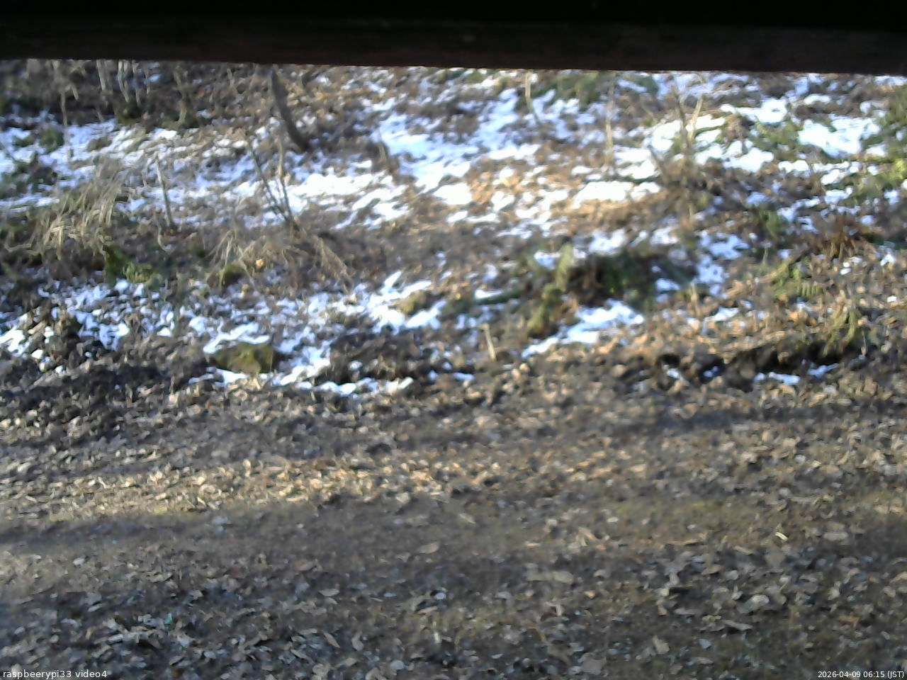 長野県菅平高原 ゆたか山荘 東側(坂下) 2026/04/09 06:15