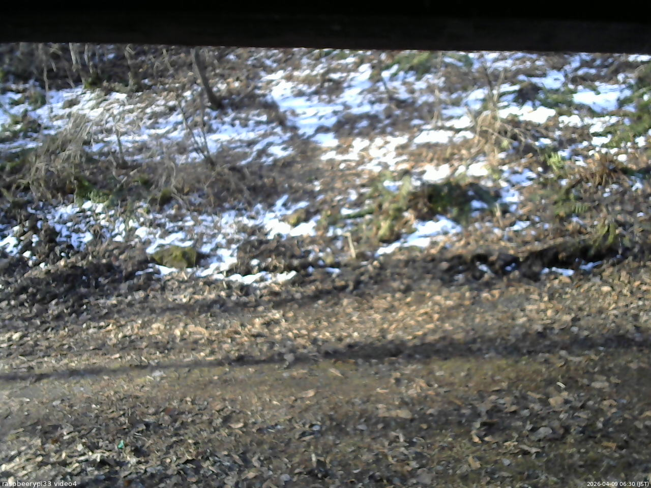 長野県菅平高原 ゆたか山荘 東側(坂下) 2026/04/09 06:30