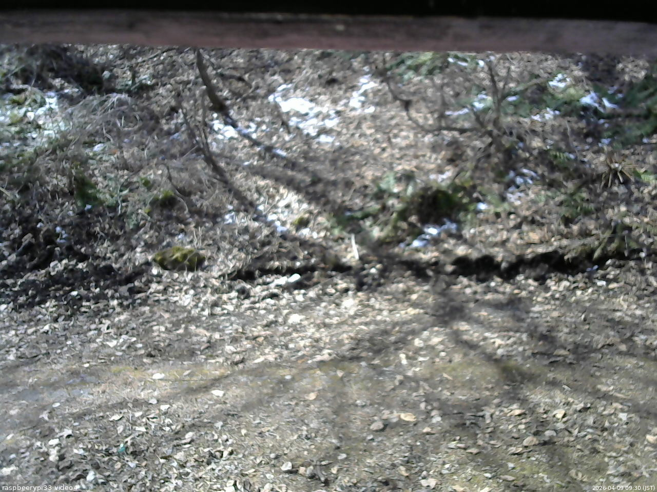 長野県菅平高原 ゆたか山荘 東側(坂下) 2026/04/09 09:30