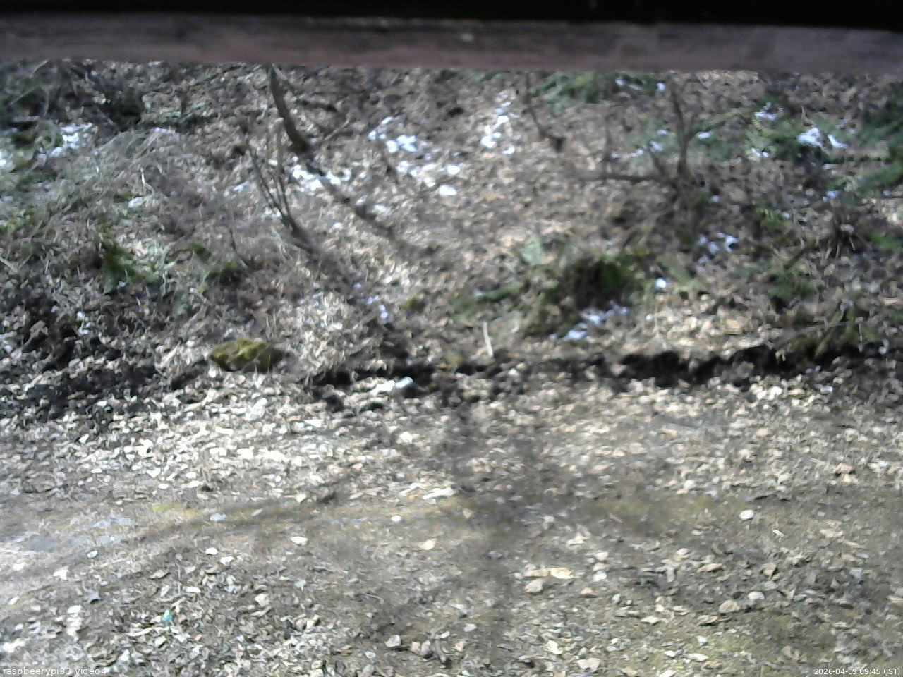 長野県菅平高原 ゆたか山荘 東側(坂下) 2026/04/09 09:45