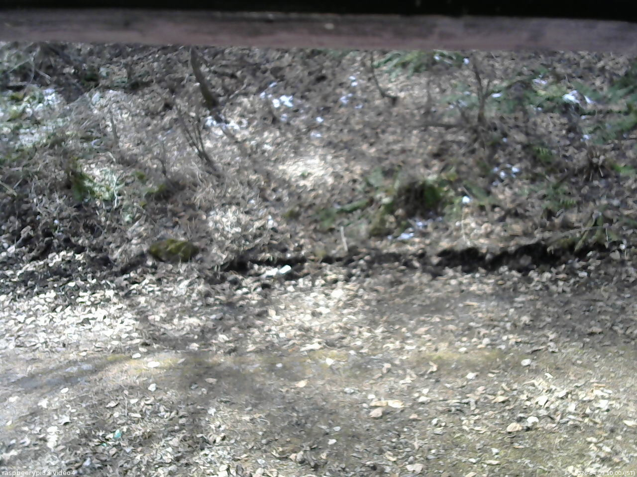 長野県菅平高原 ゆたか山荘 東側(坂下) 2026/04/09 10:00