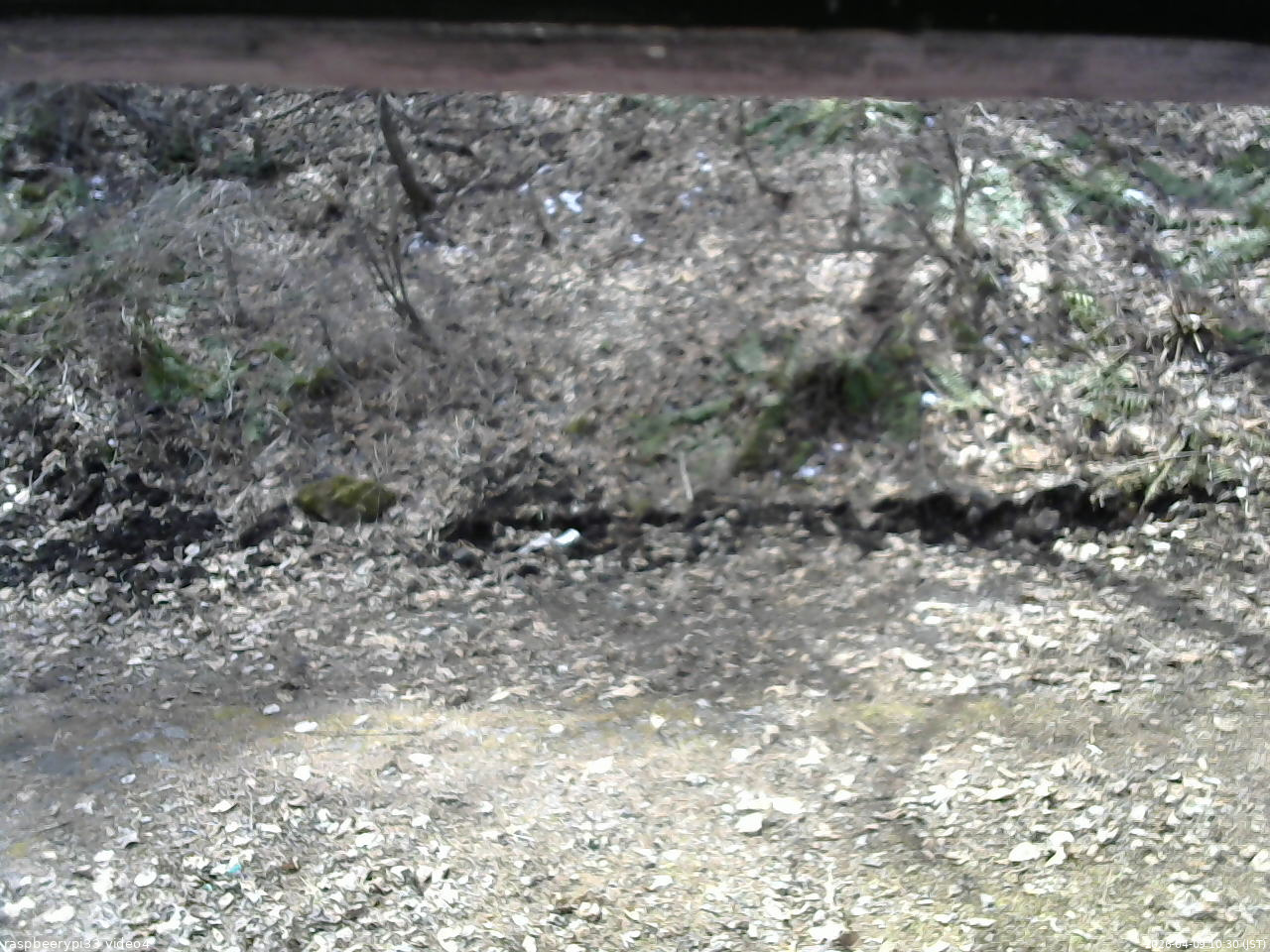 長野県菅平高原 ゆたか山荘 東側(坂下) 2026/04/09 10:30