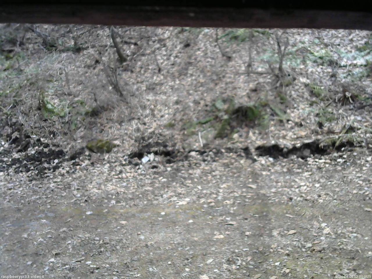 長野県菅平高原 ゆたか山荘 東側(坂下) 2026/04/09 12:00