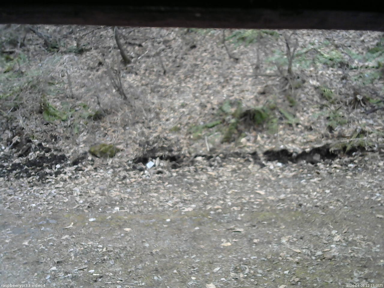 長野県菅平高原 ゆたか山荘 東側(坂下) 2026/04/09 12:15