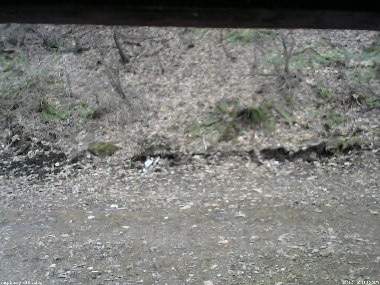 長野県菅平高原 ゆたか山荘 東側(坂下) 2026/04/09 13:30