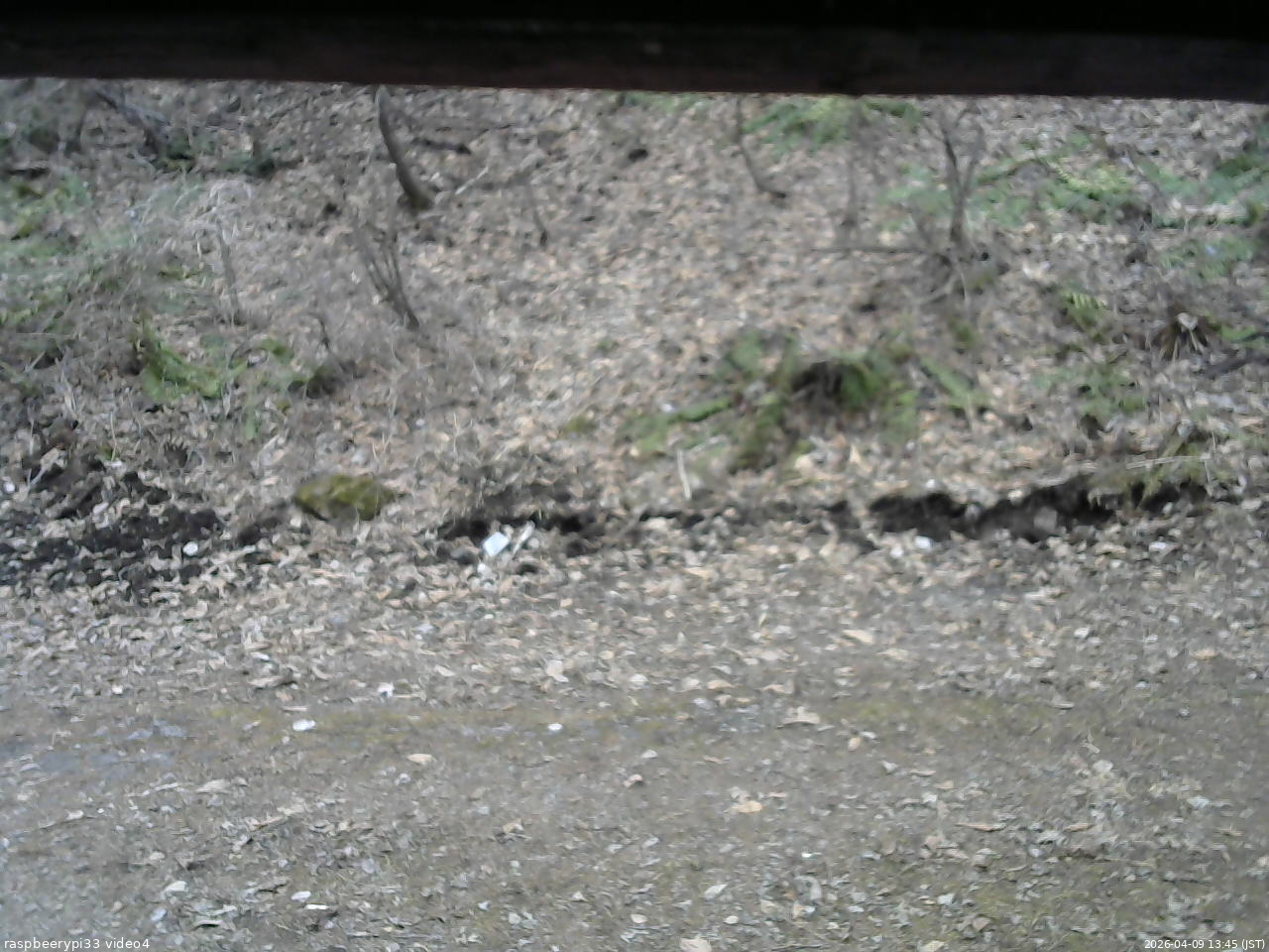 長野県菅平高原 ゆたか山荘 東側(坂下) 2026/04/09 13:45