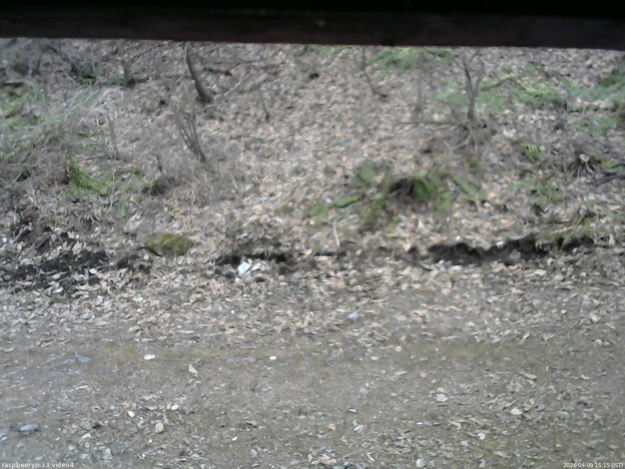 長野県菅平高原 ゆたか山荘 東側(坂下) 2026/04/09 15:15