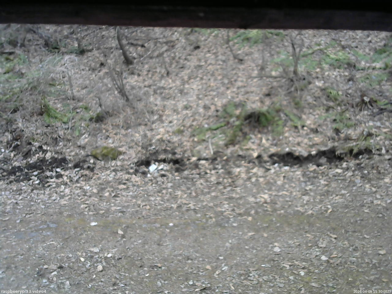 長野県菅平高原 ゆたか山荘 東側(坂下) 2026/04/09 15:30