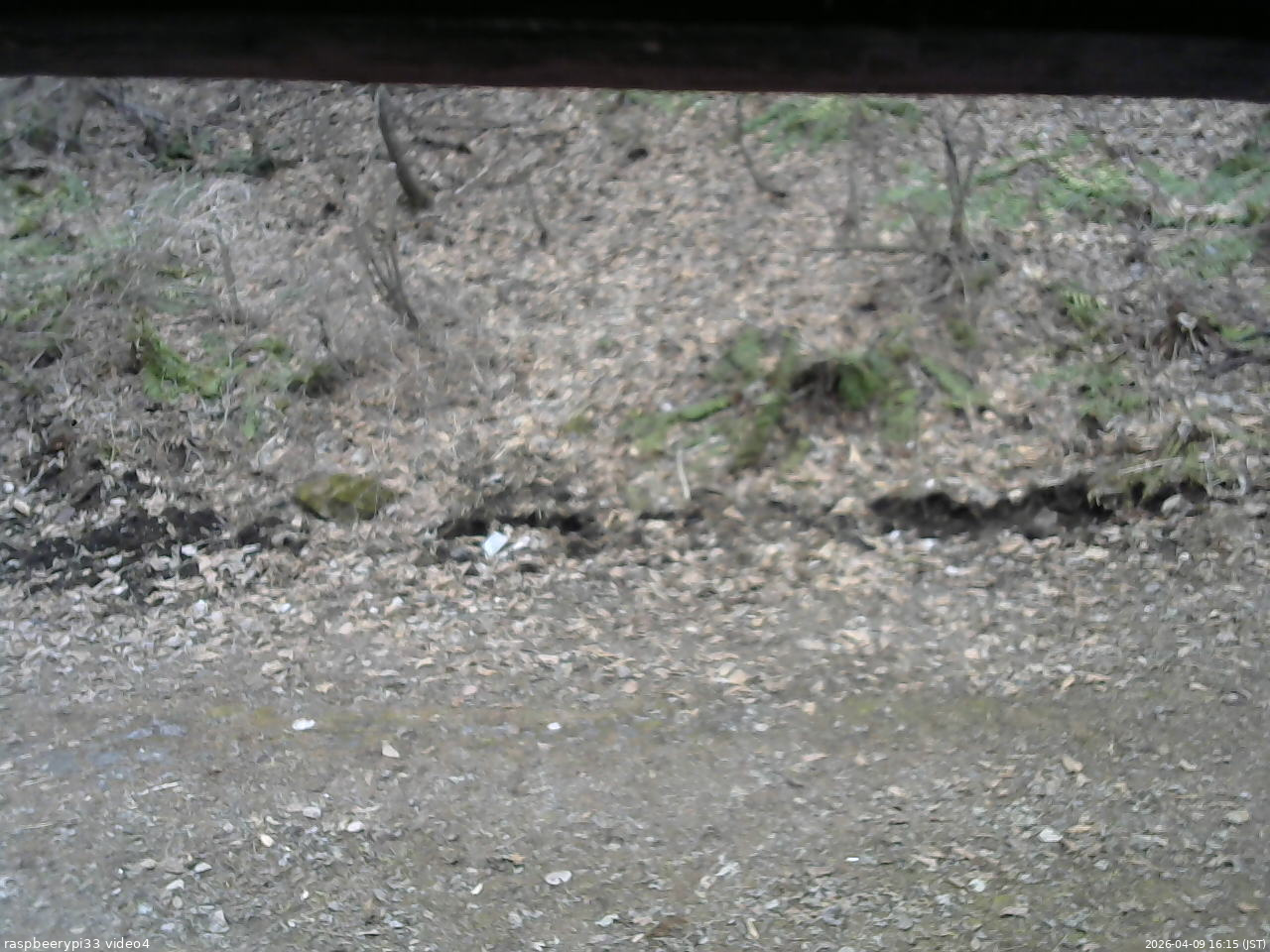 長野県菅平高原 ゆたか山荘 東側(坂下) 2026/04/09 16:15