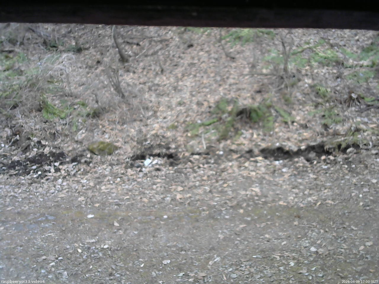 長野県菅平高原 ゆたか山荘 東側(坂下) 2026/04/09 17:00