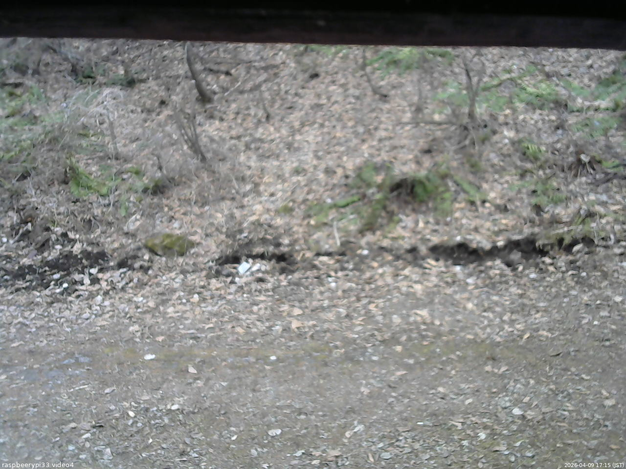 長野県菅平高原 ゆたか山荘 東側(坂下) 2026/04/09 17:15