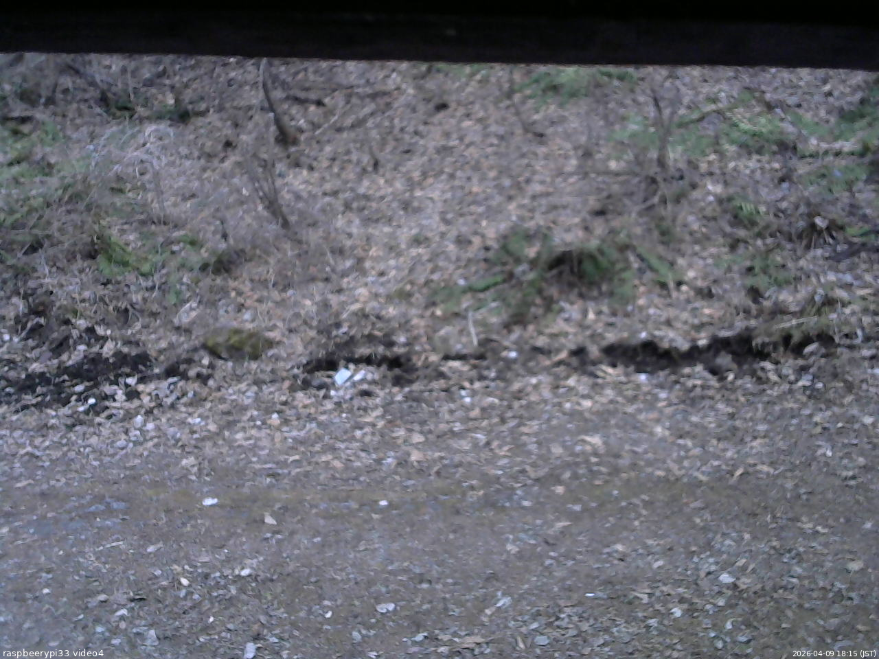 長野県菅平高原 ゆたか山荘 東側(坂下) 2026/04/09 18:15
