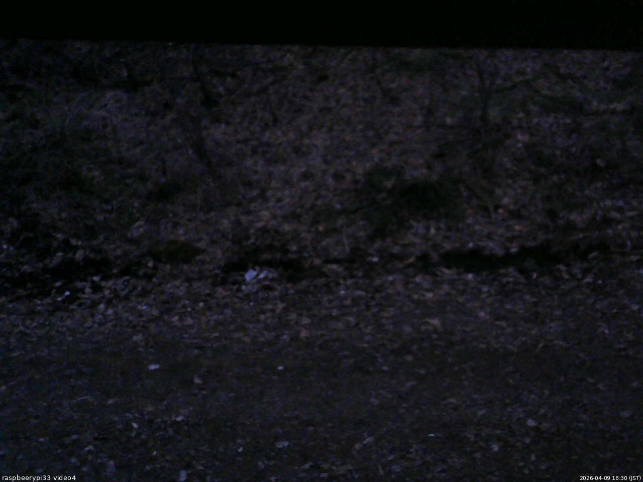 長野県菅平高原 ゆたか山荘 東側(坂下) 2026/04/09 18:30