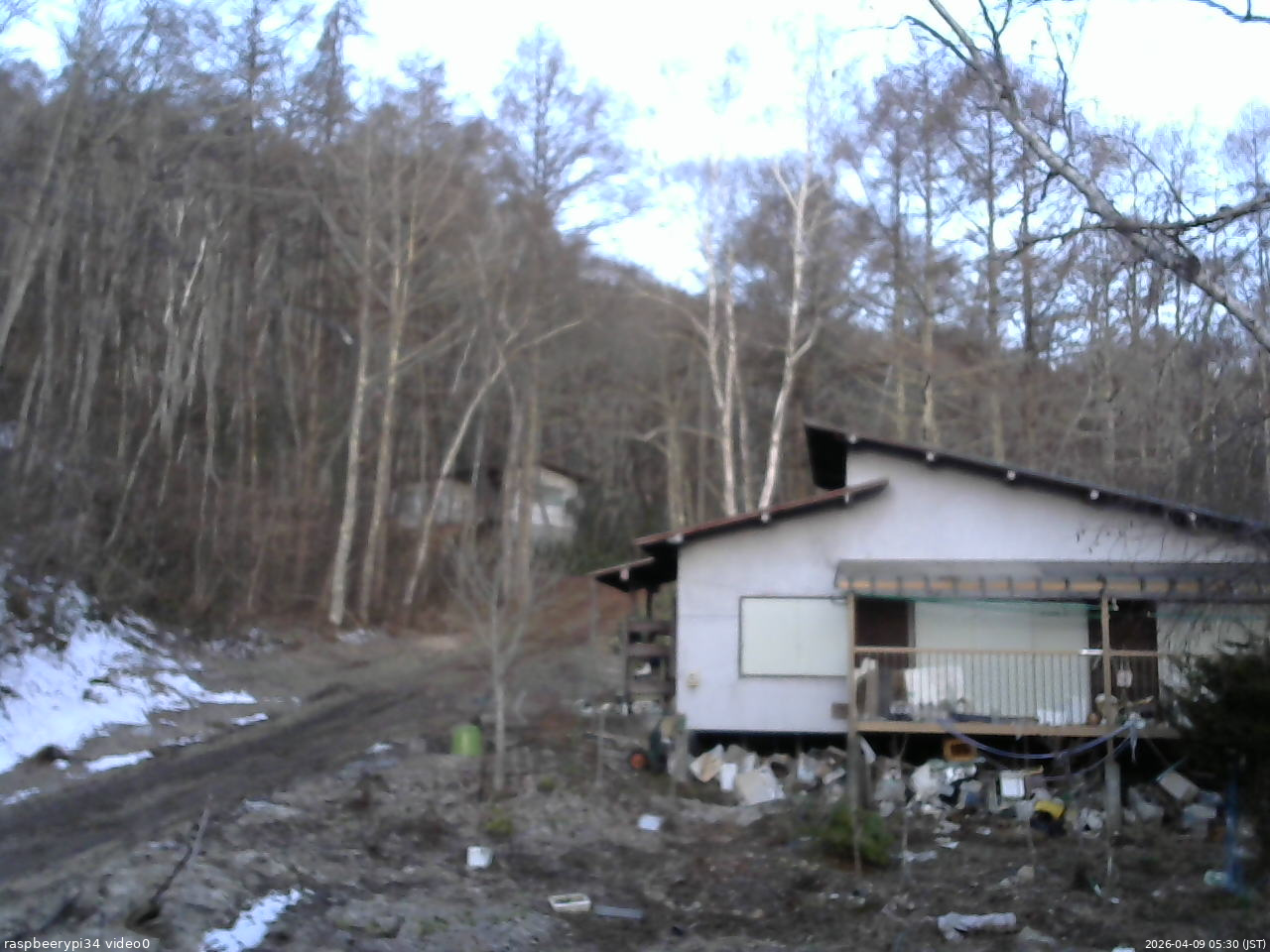 長野県菅平高原 ゆたか山荘 西側(坂上) 2026/04/09 05:30