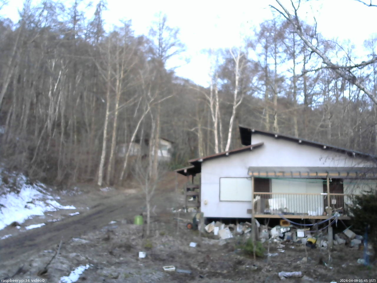 長野県菅平高原 ゆたか山荘 西側(坂上) 2026/04/09 05:45
