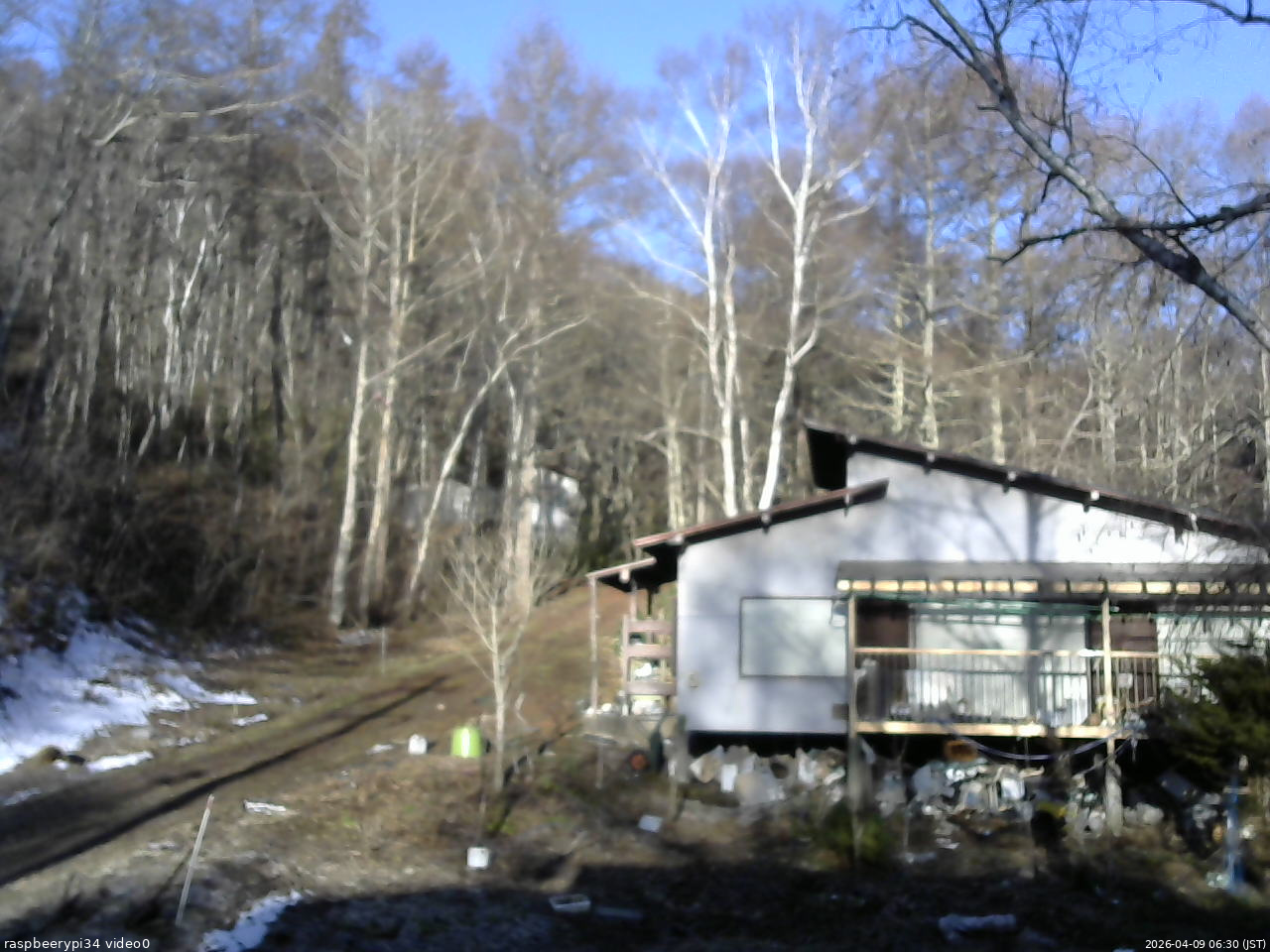 長野県菅平高原 ゆたか山荘 西側(坂上) 2026/04/09 06:30