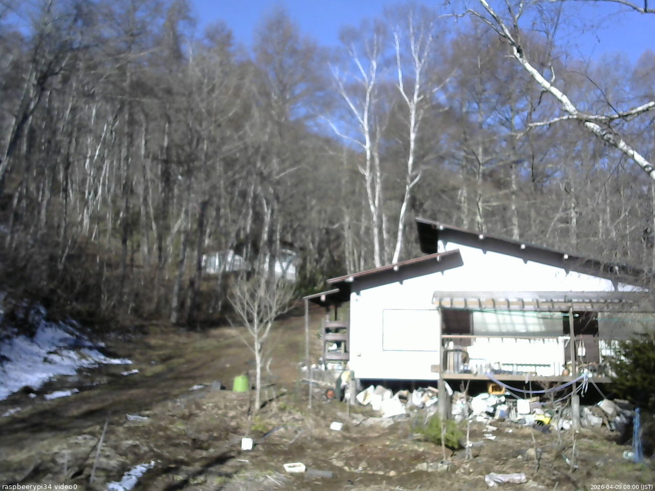 長野県菅平高原 ゆたか山荘 西側(坂上) 2026/04/09 08:00