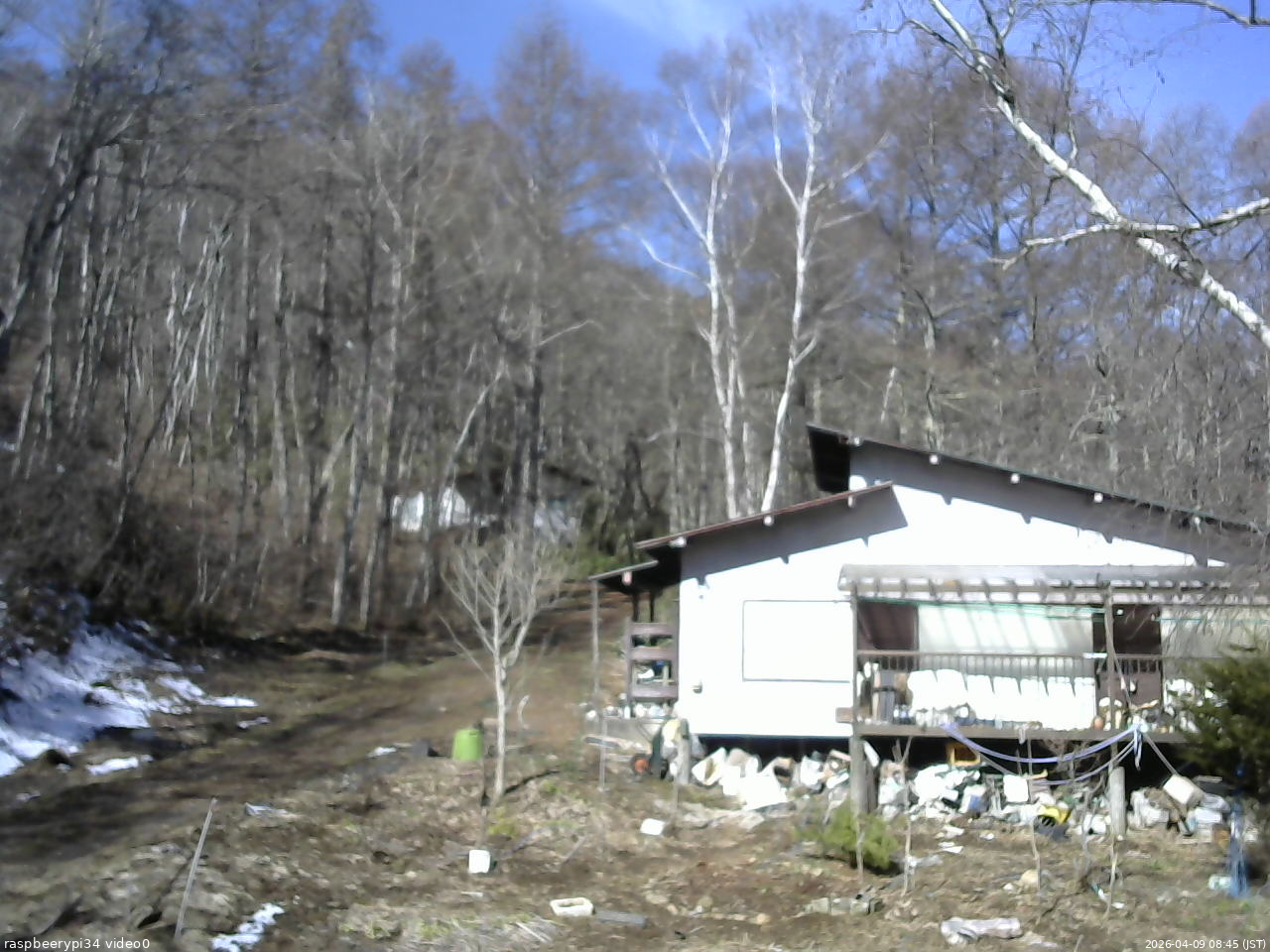 長野県菅平高原 ゆたか山荘 西側(坂上) 2026/04/09 08:45
