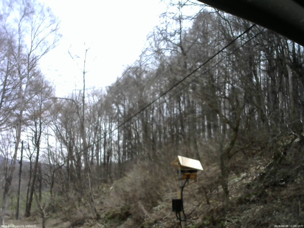 長野県菅平高原 ゆたか山荘 温度計 2026/04/09 11:00