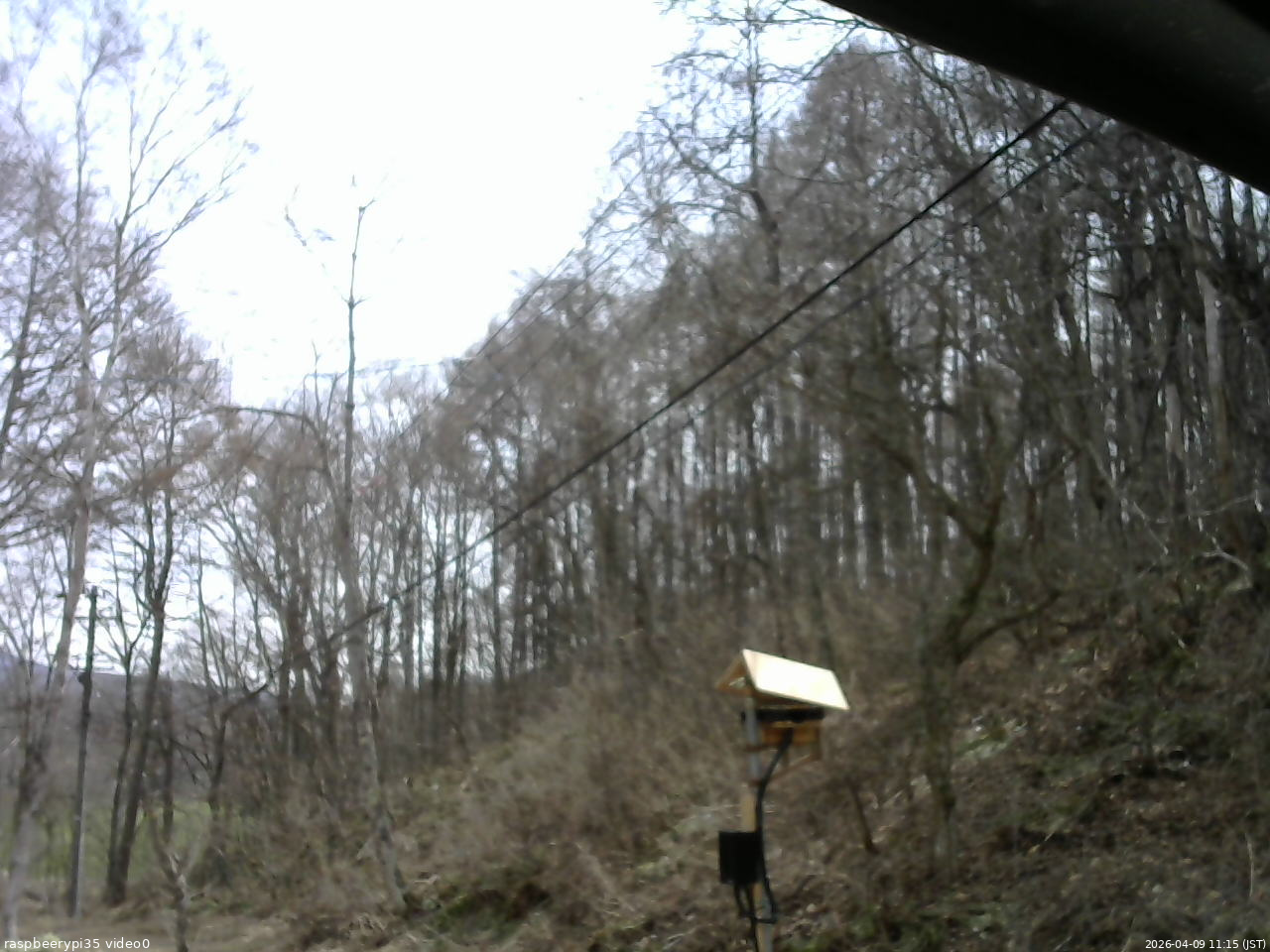 長野県菅平高原 ゆたか山荘 温度計 2026/04/09 11:15