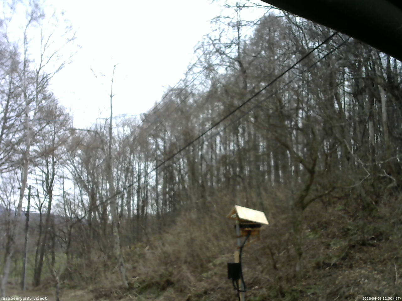 長野県菅平高原 ゆたか山荘 温度計 2026/04/09 11:30