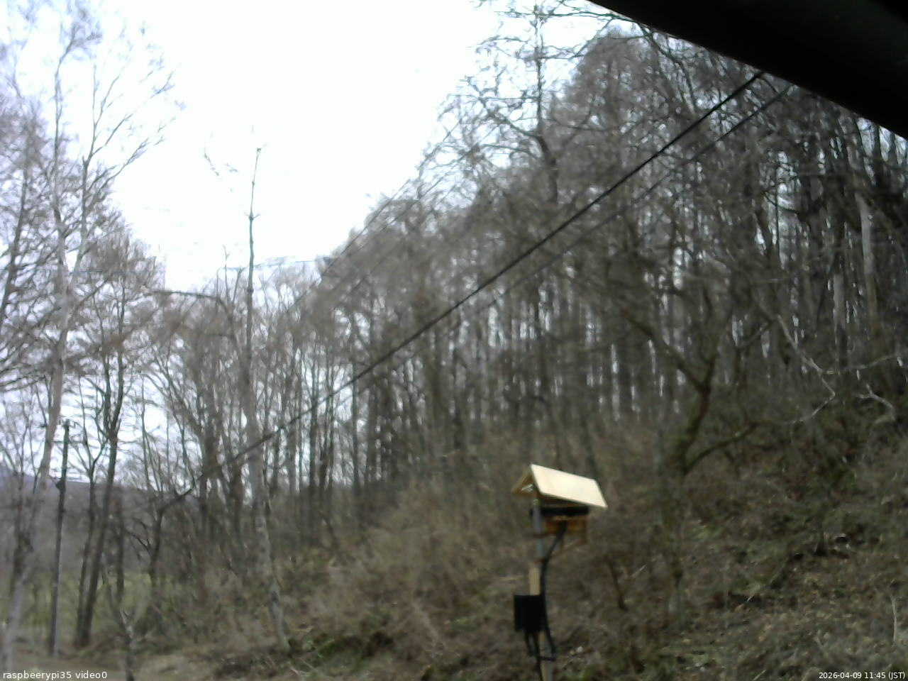 長野県菅平高原 ゆたか山荘 温度計 2026/04/09 11:45