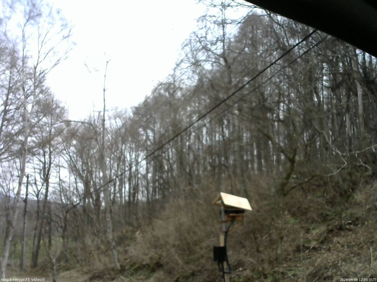 長野県菅平高原 ゆたか山荘 温度計 2026/04/09 12:00