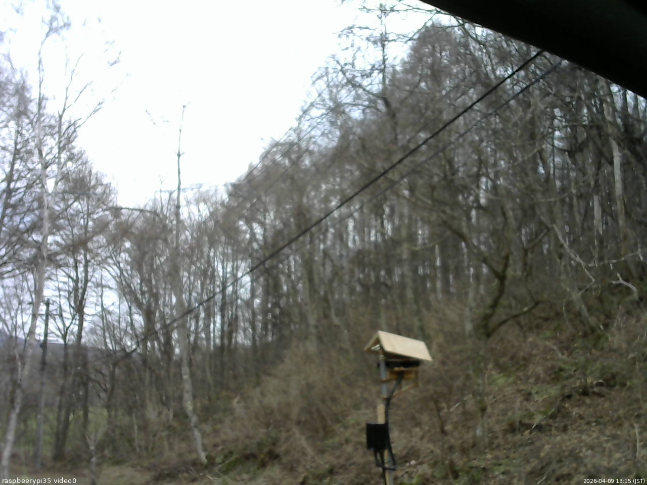 長野県菅平高原 ゆたか山荘 温度計 2026/04/09 13:15