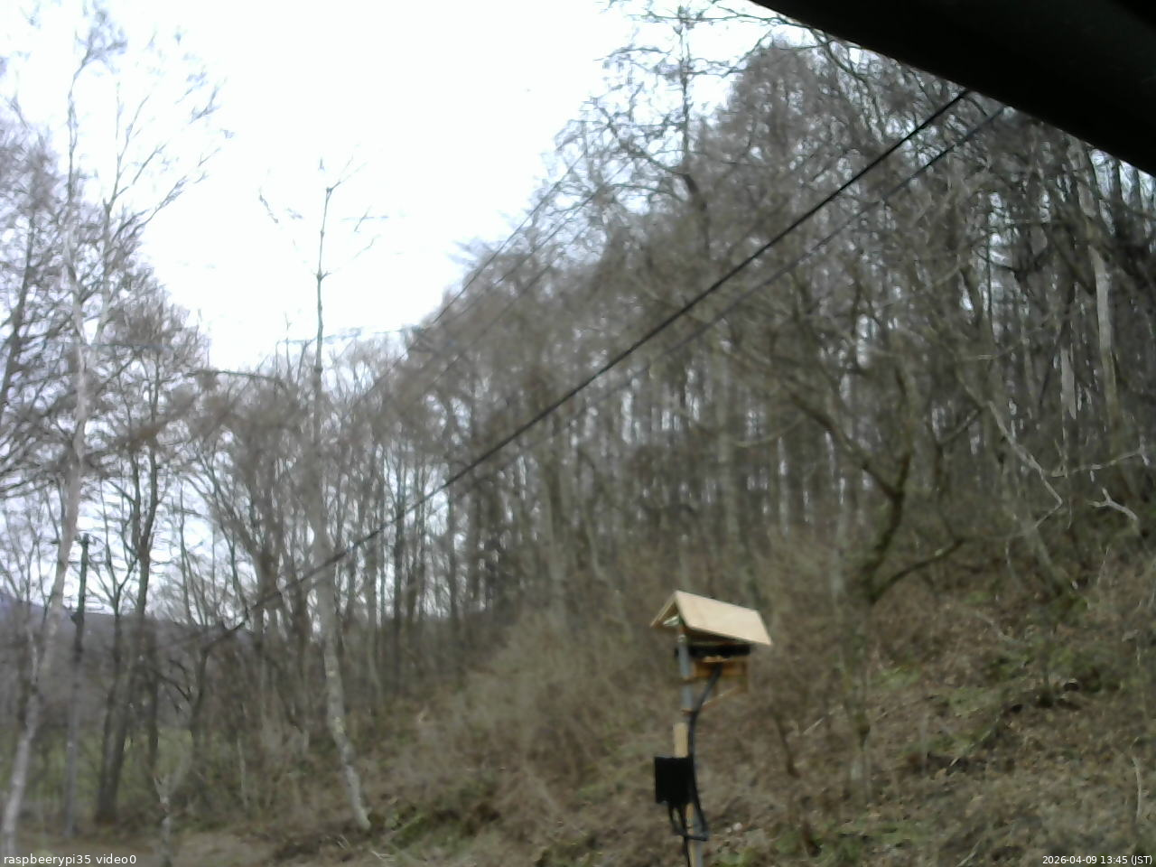 長野県菅平高原 ゆたか山荘 温度計 2026/04/09 13:45