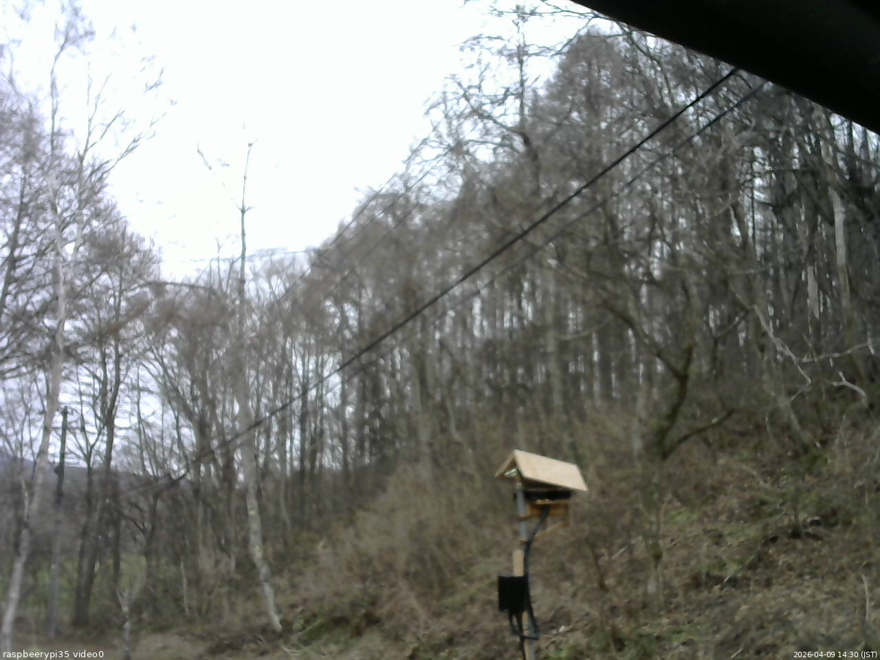 長野県菅平高原 ゆたか山荘 温度計 2026/04/09 14:30