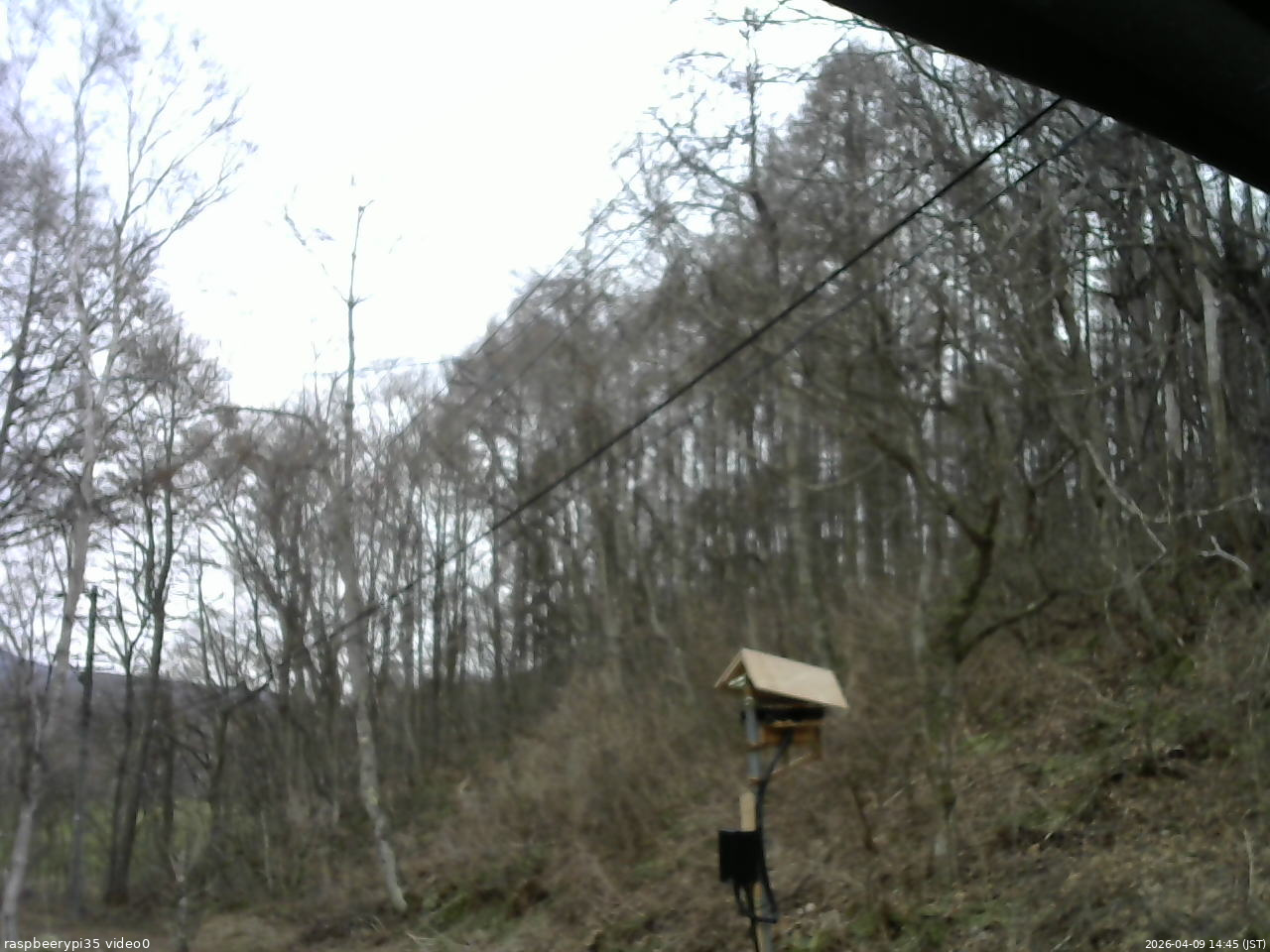 長野県菅平高原 ゆたか山荘 温度計 2026/04/09 14:45