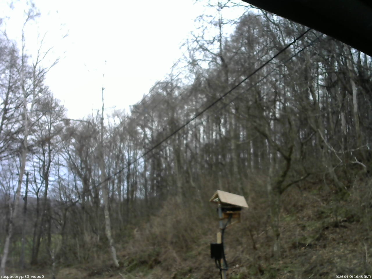 長野県菅平高原 ゆたか山荘 温度計 2026/04/09 16:45