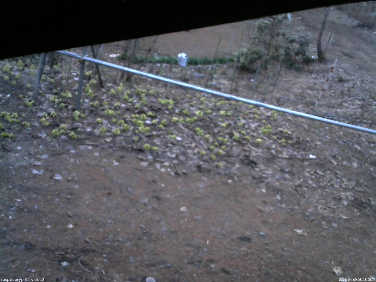 長野県菅平高原 ゆたか山荘 駐車場 2026/04/09 05:15