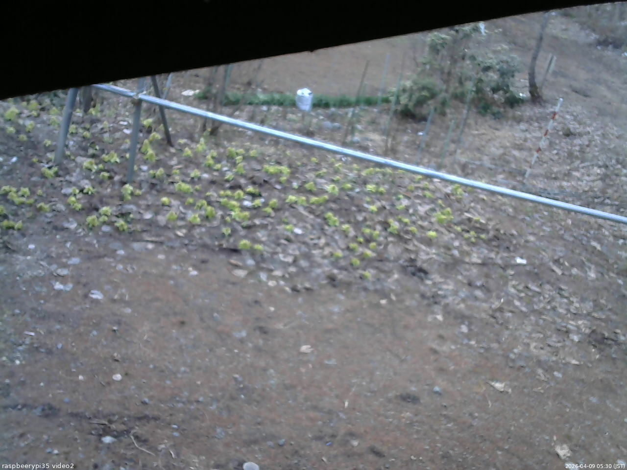 長野県菅平高原 ゆたか山荘 駐車場 2026/04/09 05:30