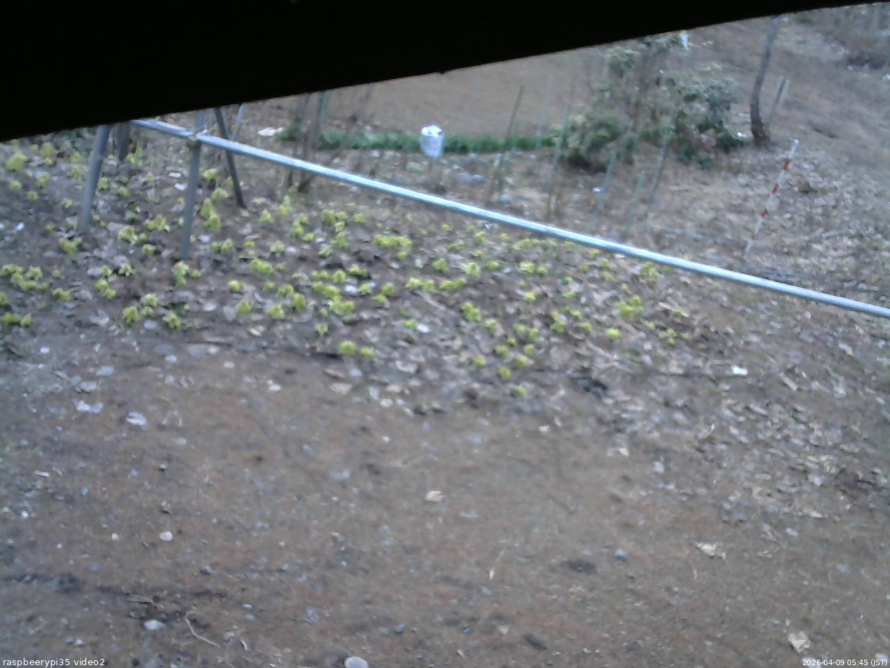 長野県菅平高原 ゆたか山荘 駐車場 2026/04/09 05:45