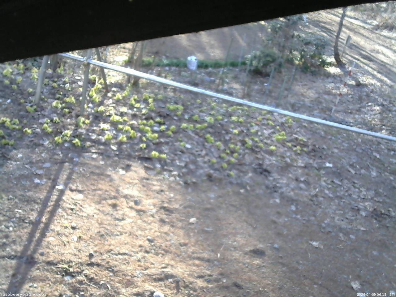 長野県菅平高原 ゆたか山荘 駐車場 2026/04/09 06:15