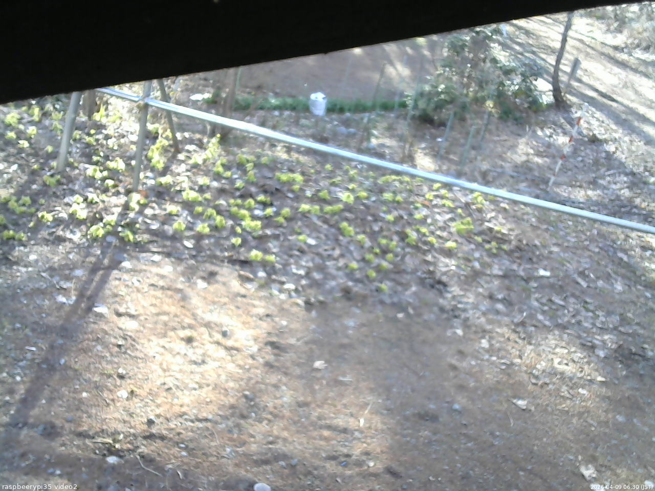 長野県菅平高原 ゆたか山荘 駐車場 2026/04/09 06:30