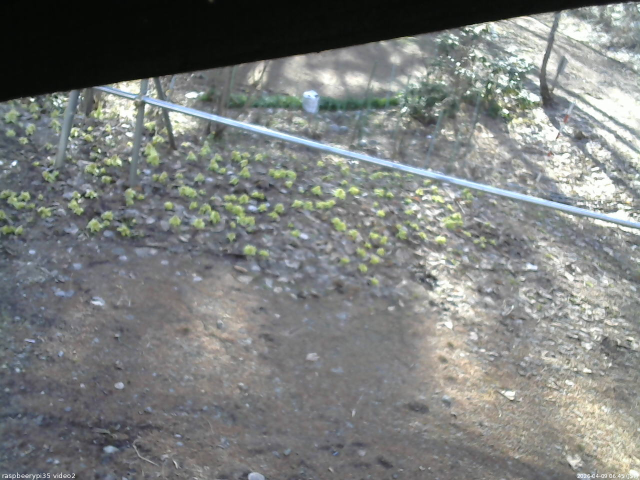 長野県菅平高原 ゆたか山荘 駐車場 2026/04/09 06:45