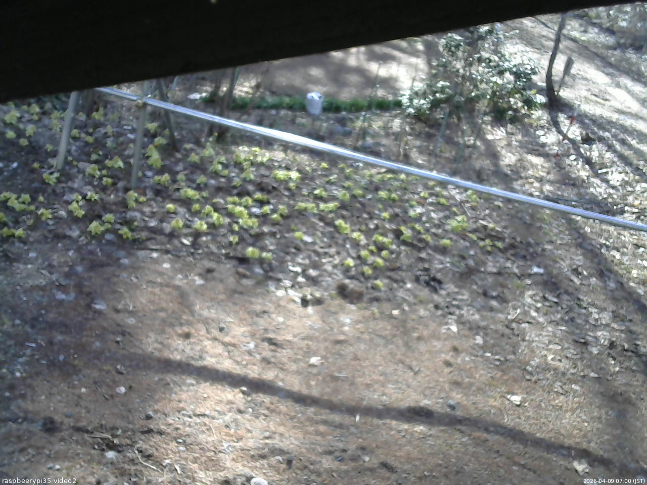 長野県菅平高原 ゆたか山荘 駐車場 2026/04/09 07:00