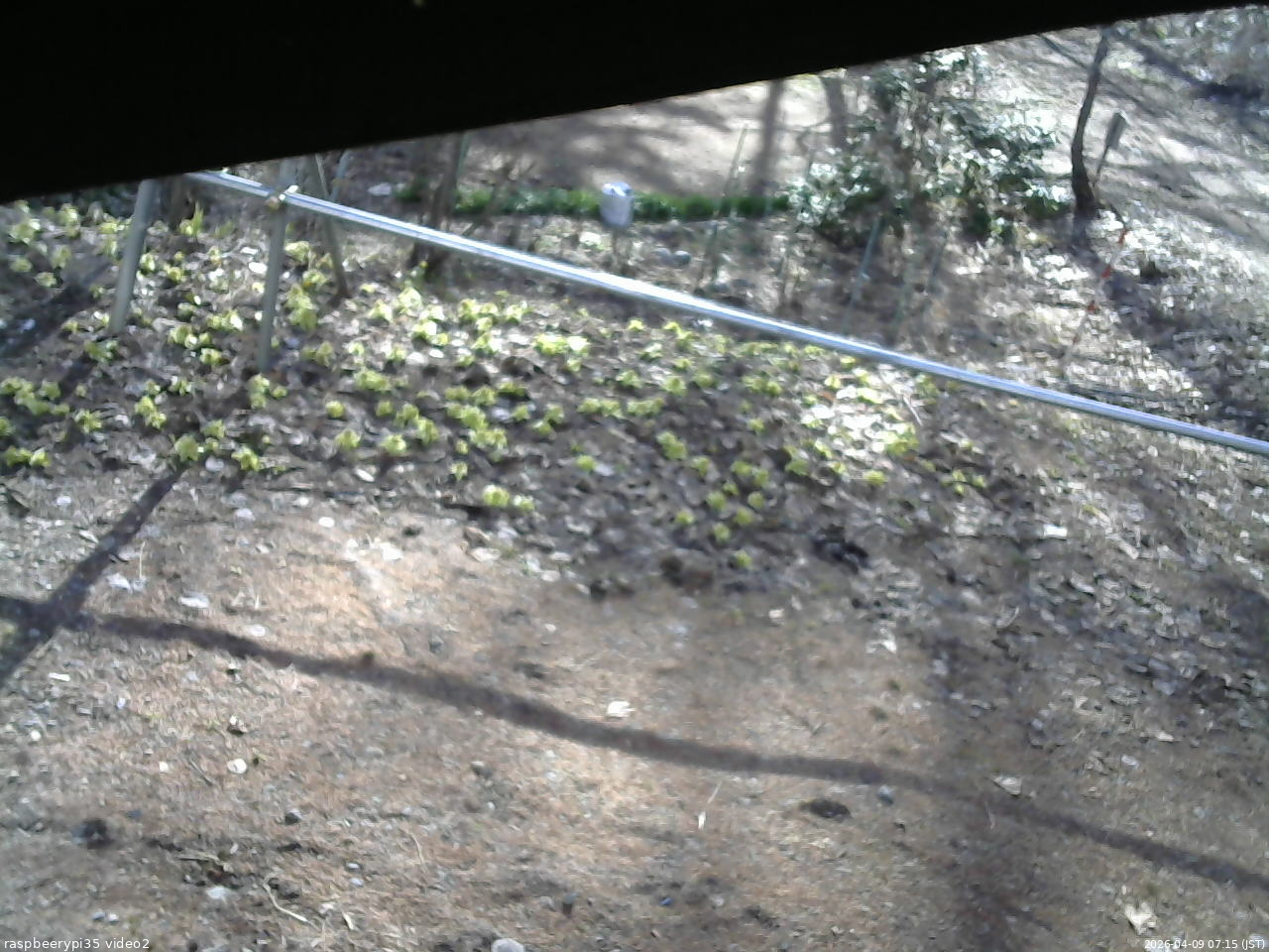 長野県菅平高原 ゆたか山荘 駐車場 2026/04/09 07:15