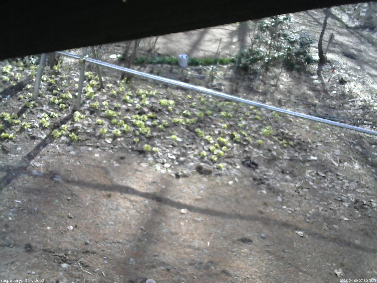 長野県菅平高原 ゆたか山荘 駐車場 2026/04/09 07:30