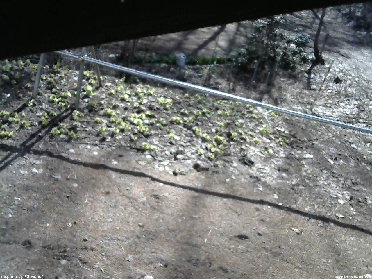 長野県菅平高原 ゆたか山荘 駐車場 2026/04/09 08:00