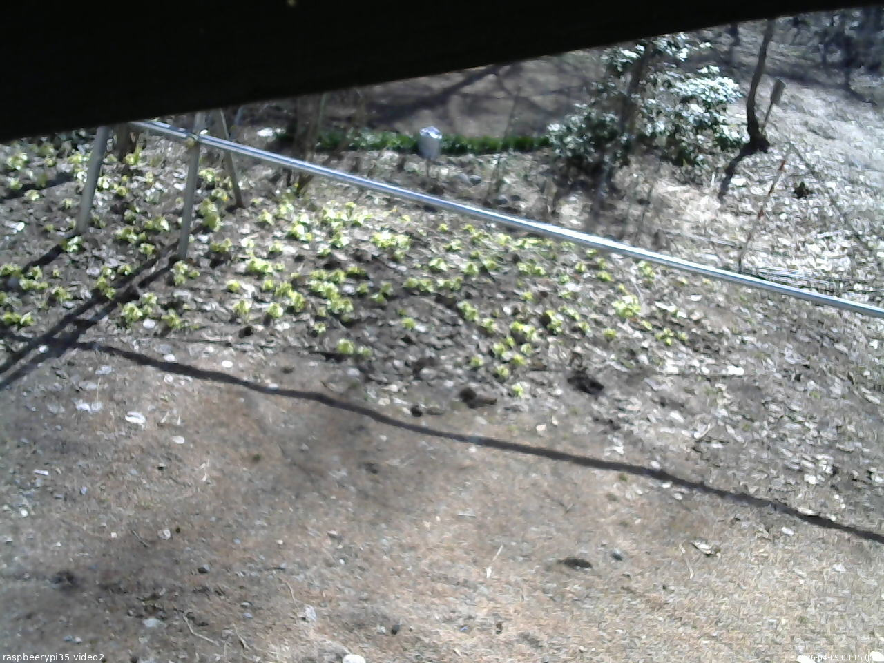 長野県菅平高原 ゆたか山荘 駐車場 2026/04/09 08:15