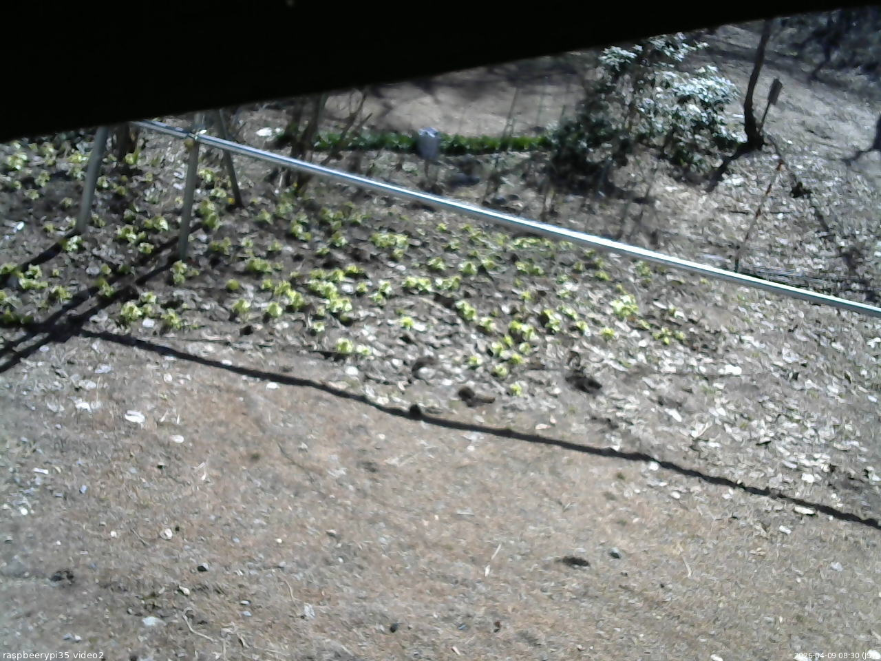 長野県菅平高原 ゆたか山荘 駐車場 2026/04/09 08:30