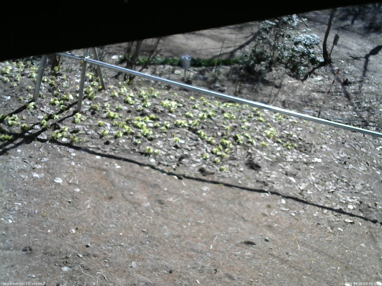 長野県菅平高原 ゆたか山荘 駐車場 2026/04/09 08:45