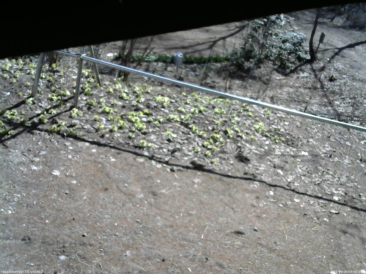 長野県菅平高原 ゆたか山荘 駐車場 2026/04/09 09:00