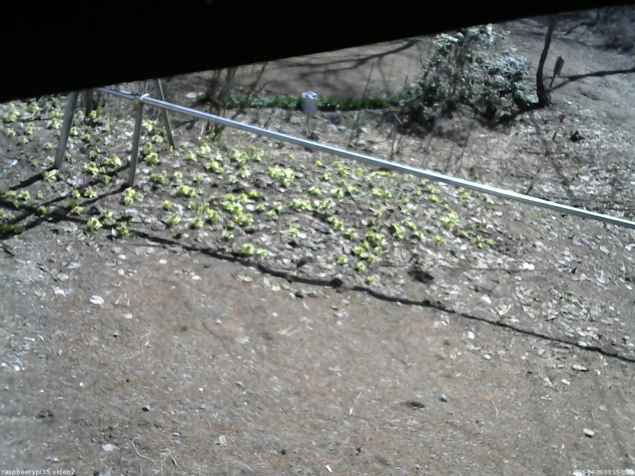 長野県菅平高原 ゆたか山荘 駐車場 2026/04/09 09:15