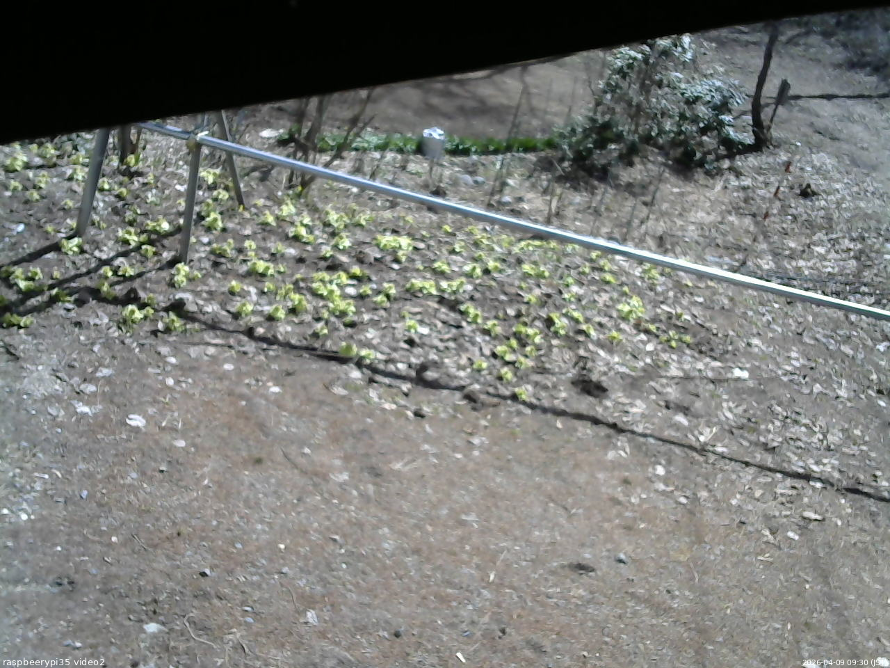 長野県菅平高原 ゆたか山荘 駐車場 2026/04/09 09:30