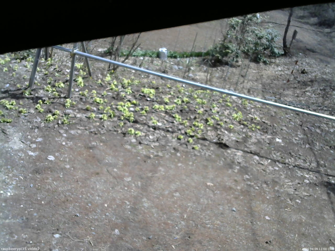 長野県菅平高原 ゆたか山荘 駐車場 2026/04/09 11:00