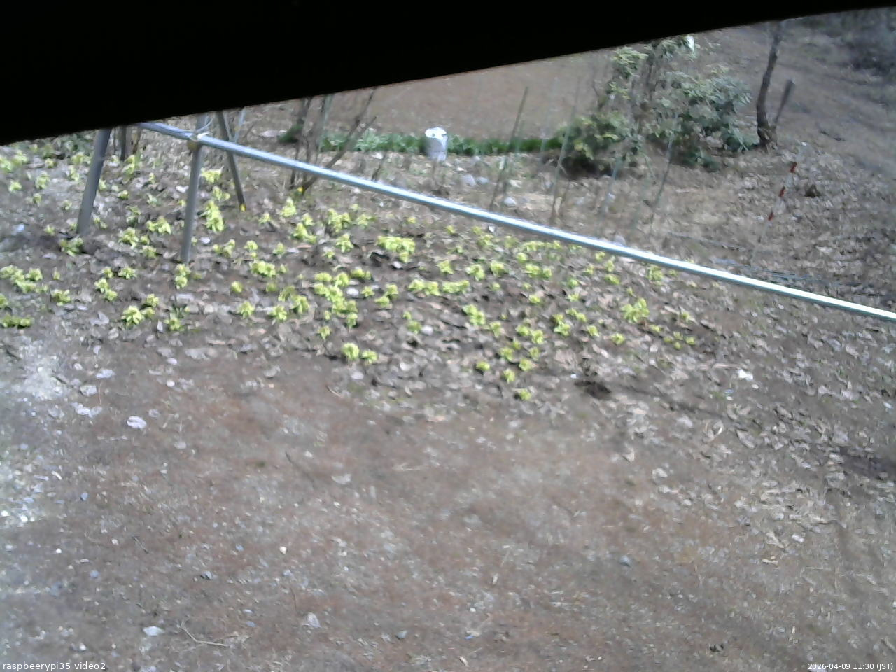 長野県菅平高原 ゆたか山荘 駐車場 2026/04/09 11:30